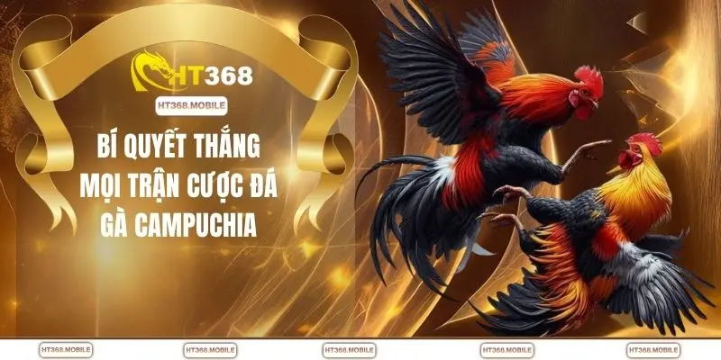 Bí quyết thắng mọi trận cược đá gà Campuchia