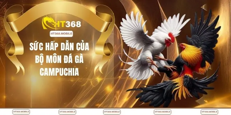Sức hấp dẫn của bộ môn đá gà Campuchia