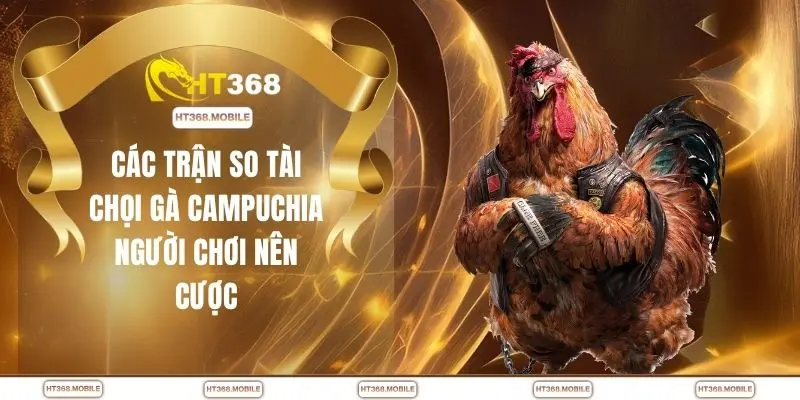 Các trận so tài chọi gà Campuchia người chơi nên cược