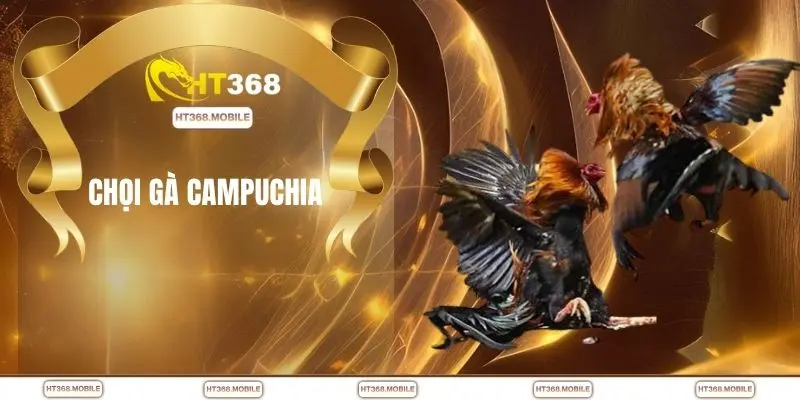Chọi gà Campuchia