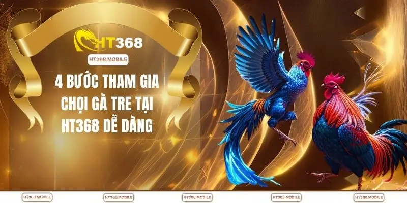 4 bước tham gia chọi gà tre tại HT368 dễ dàng