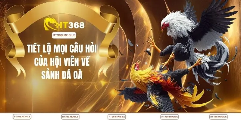 Tiết lộ mọi câu hỏi của hội viên về sảnh đá gà