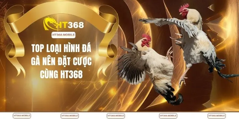 Top loại hình đá gà nên đặt cược cùng HT368