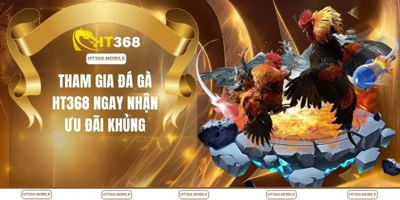 Tham gia đá gà HT368 ngay nhận ưu đãi khủng