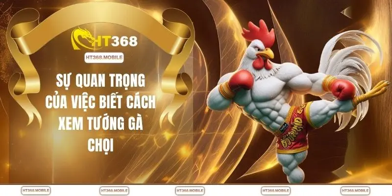 Sự quan trọng của việc biết cách xem tướng gà chọi