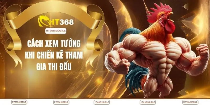 Cách xem tướng khi chiến kê tham gia thi đấu