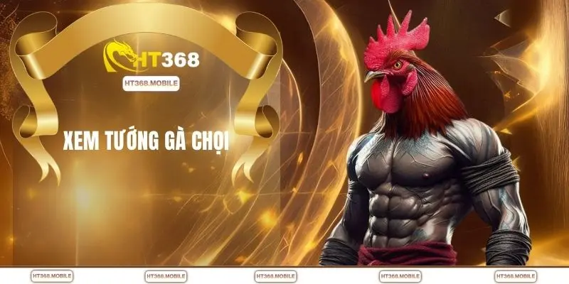 Xem tướng gà chọi